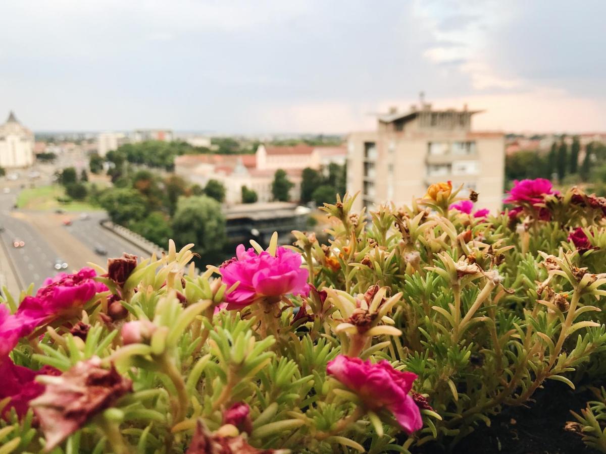 Over The City 拉迪亚 外观 照片